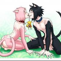 Team 7 Catfied!